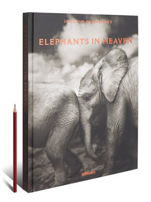 Elephants in Heaven