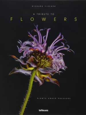 A tribute to flowers