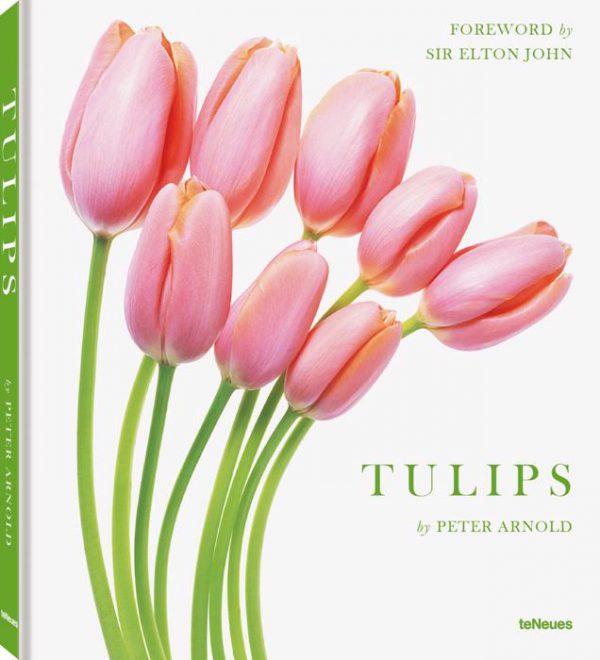 Tulips 9783961712656