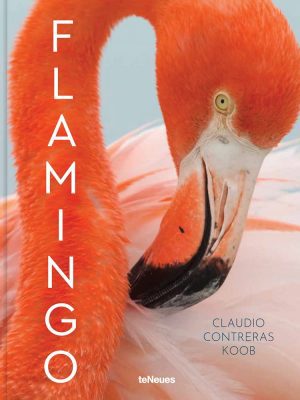flamingo 9783961713875