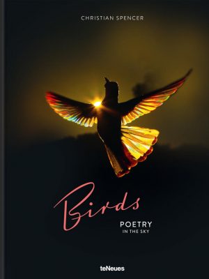 Birds - Poetry in the Sky