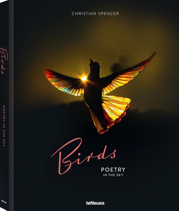 Birds - Poetry in the Sky
