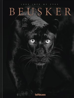 Beusker Look Into My Eyes - Lars Beusker