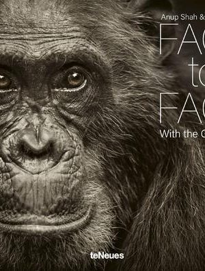 Face to Face - With the Great Apes