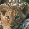 Baby Animals by Michael Poliza 9783961711413