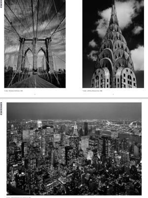 New York, From Top to Bottom