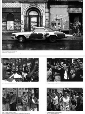 New York, From Top to Bottom