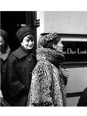 Dior: The Fashion Icons 9781915343314
