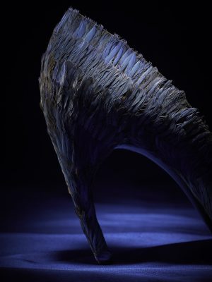 Dior by Roger Vivier 9780847866571