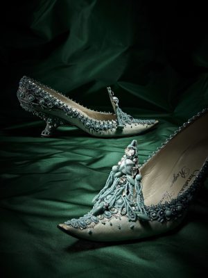 Dior by Roger Vivier 9780847866571