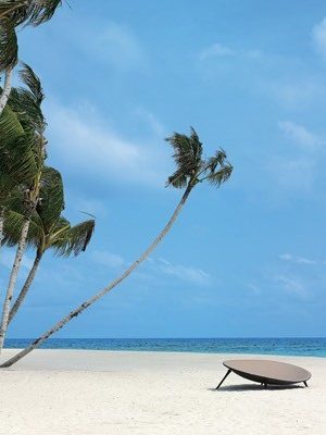 VELAA: Island for all senses 9783832732691