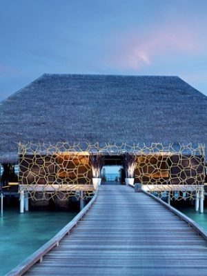 VELAA: Island for all senses 9783832732691