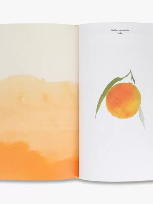 Louis Vuitton: A Perfume Atlas 9780500022382