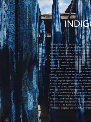 Why Bees Do Not See Red and We Sometimes Feel Blue 9783961713653