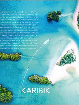 Why Bees Do Not See Red and We Sometimes Feel Blue 9783961713653