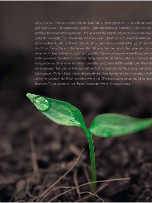 Why Bees Do Not See Red and We Sometimes Feel Blue 9783961713653