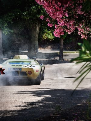 Chasing Paradise 9783832732790