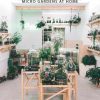 Home Forest: Micro Gardens at Home 9788499360935