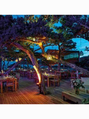 Ibiza: The Coolest Hotspots 9788499360546