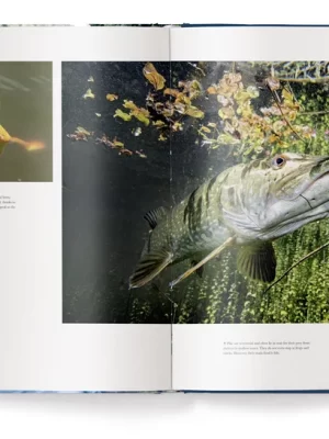 Fishing – The Ultimate Book 9783961716265