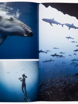 Boatlife 9783967040999