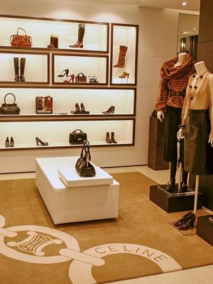 Little Book of Celine 9781035420582