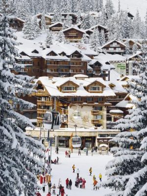 The Stylish Life Skiing 9783832732660