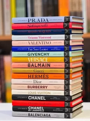 Little Book of Celine 9781035420582