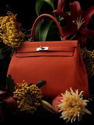 Hermès - Tijdloze elegantie 9789036649865