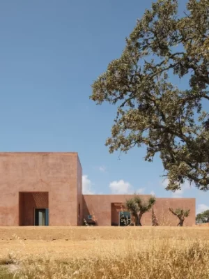 The Mediterranean Home